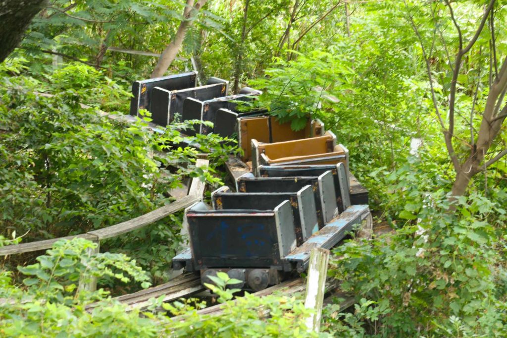 Joyland Park Coaster cars