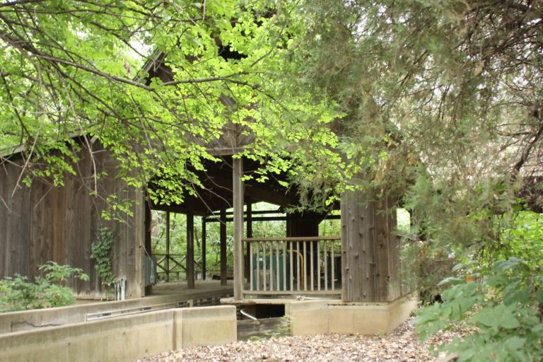 Joyland park