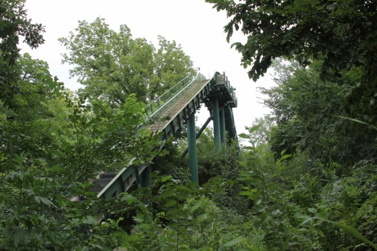 Joyland park