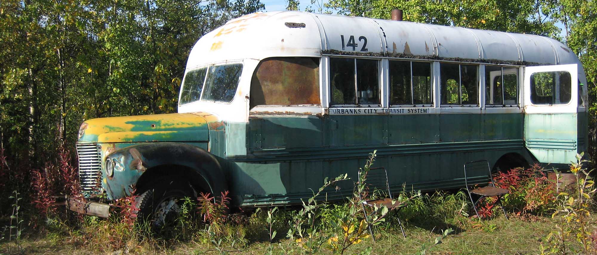 You are currently viewing The Magic Bus