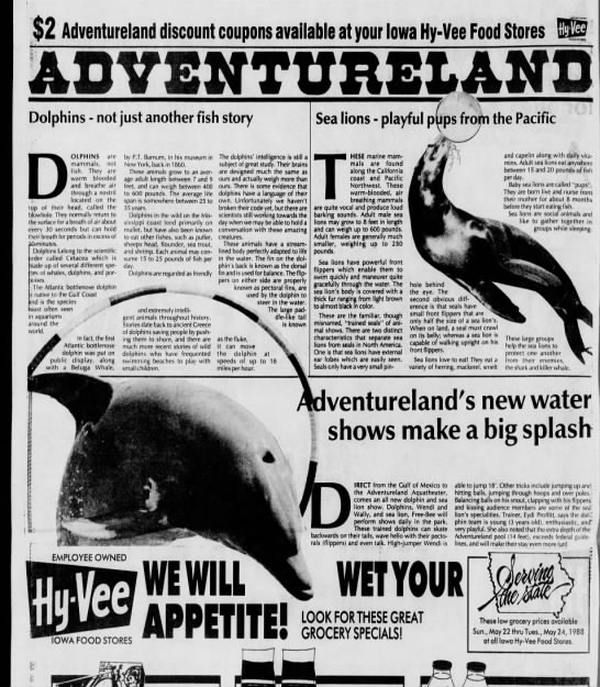 DolphinsAdDMRegister