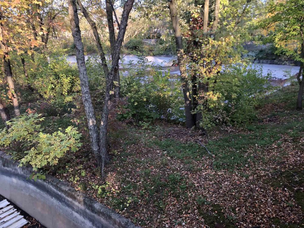Adventureland The Raging River October 2020