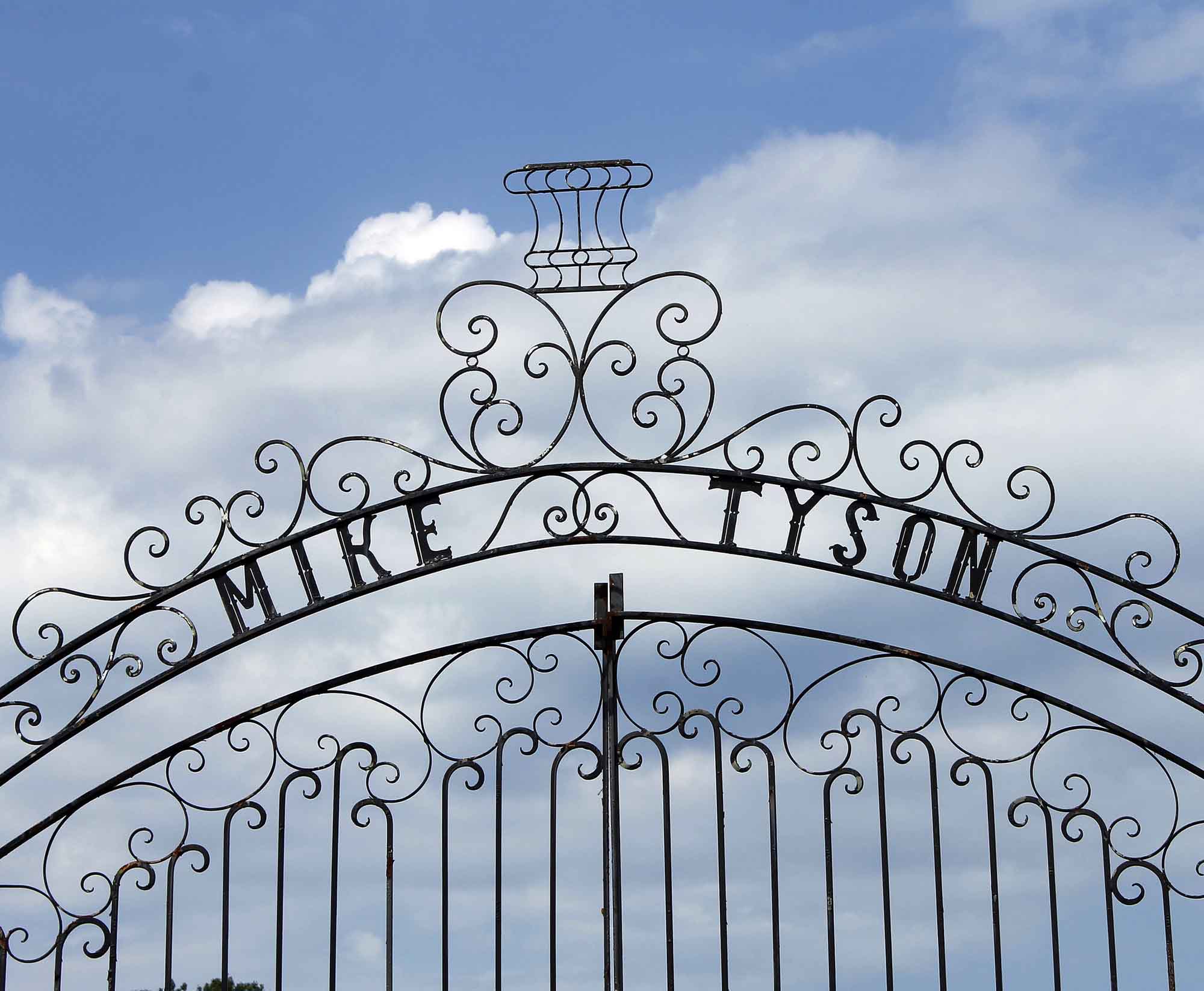 Read more about the article Mike Tyson Mansion