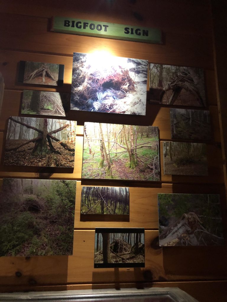IMG_8108