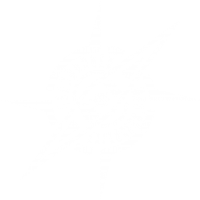 AE white logo